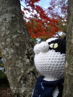 Norisuke The Amigurumi Cat Enjoys Autumn Leaves　ノリスケ、紅葉を楽しむ